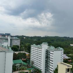 Blk 150 Mei Ling Street (Queenstown), HDB Executive #113269222
